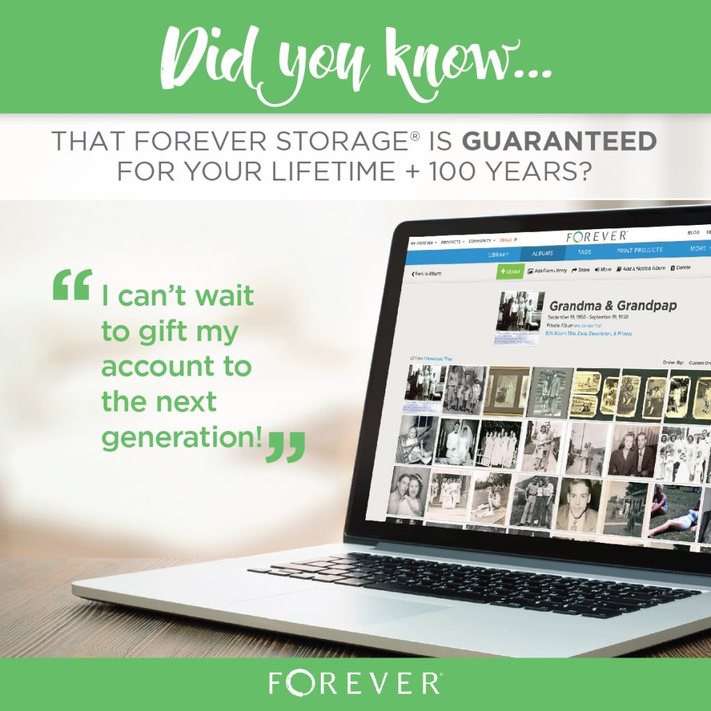 Permanent Storage Memories In The Sand Photo Organizing